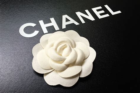 chanel carmela